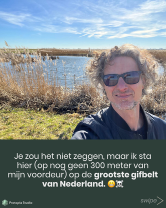 The Volgermeerpolder: not cleaning up, but working with time